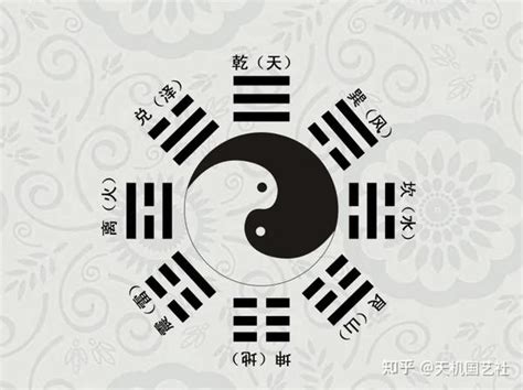 三爻|爻（组成卦符的基本符号）